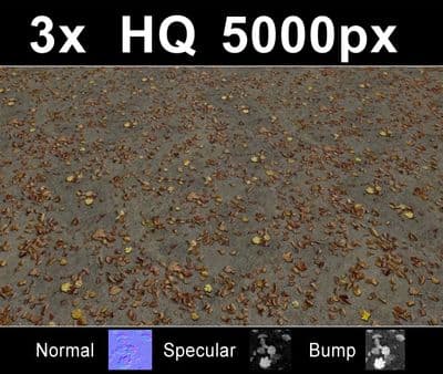 3x Leaves on Sand 1 - Gallery 3