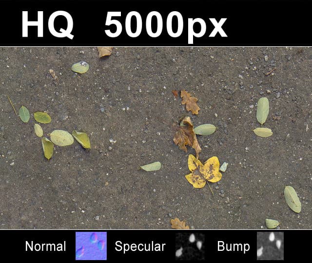 2x Leaves on Sand 2 - Gallery 1