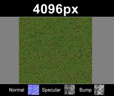 Moss 01 - Gallery 2