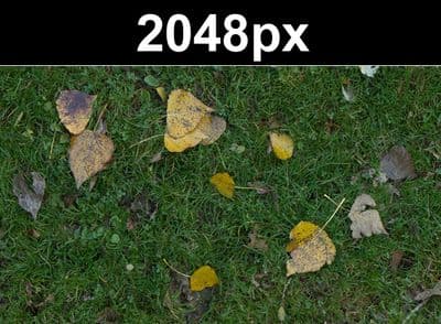 Lawn 02 (free) - Gallery 1
