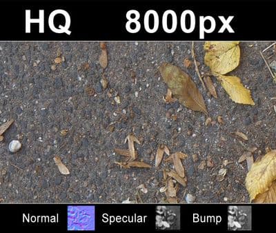 Road with Leaves 2 - Gallery 2