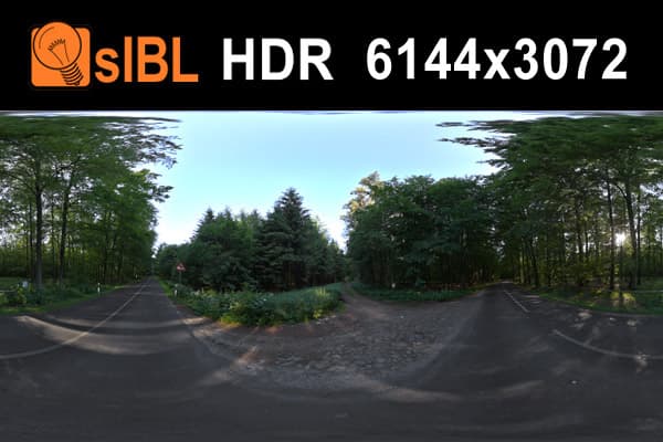 HDR 020 Forest 2 - Gallery 1