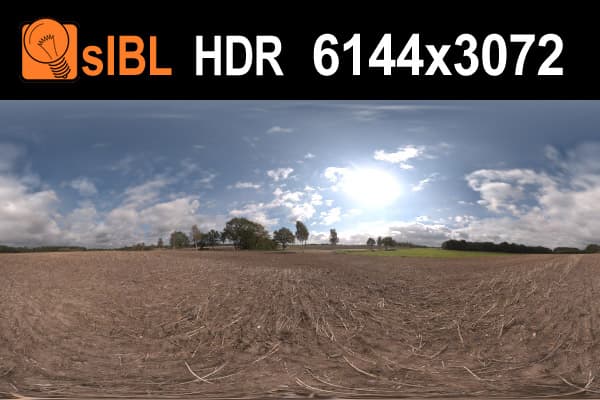 HDR 031 Road in Field 4 - Gallery 1
