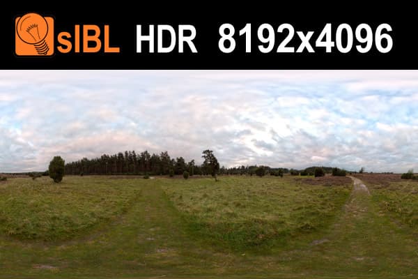 HDR 035 Field Path 3 - Gallery 1
