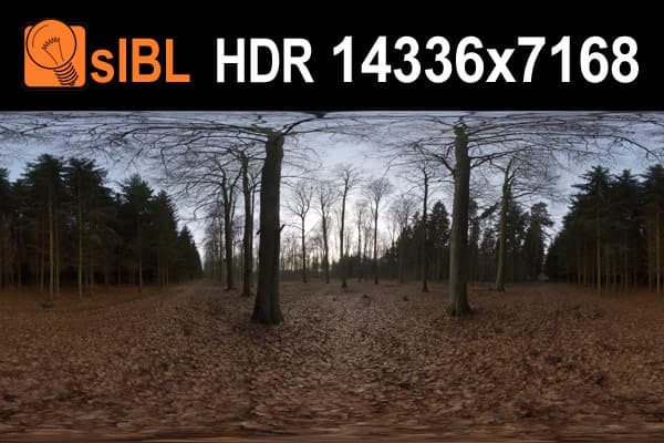 HDR 095 Forest Path - Clear Sky - Gallery 1