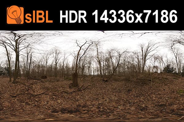 HDR 097 Forest - Gallery 1