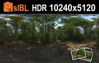 HDR 114 Forest Plates