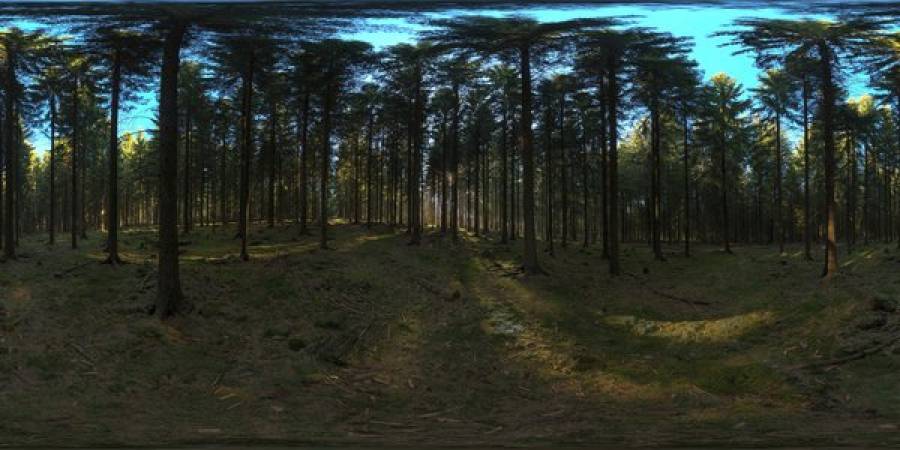 Hdri карта лес