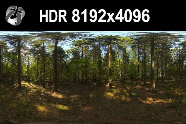 HDR 149 Forest