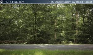 Sideview on Road in Forest - Locked camera pointing at a road in a forest. Calm moving background.