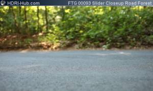 Slider Closeup on Road in Forest