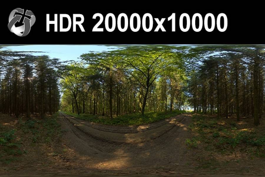HDRI Hub HDR 152 Forest 20k