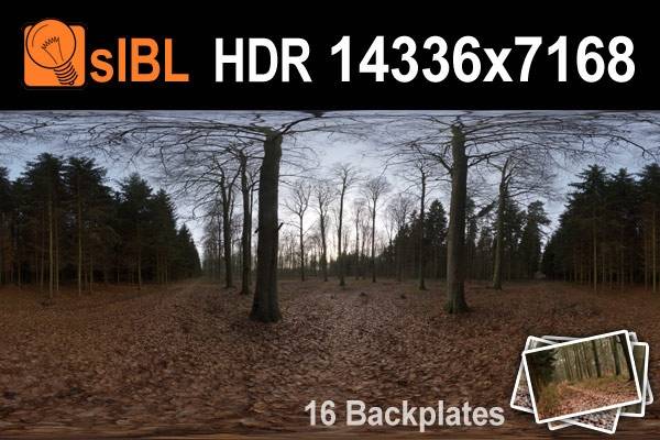 HDR 095 Forest Path Plates
