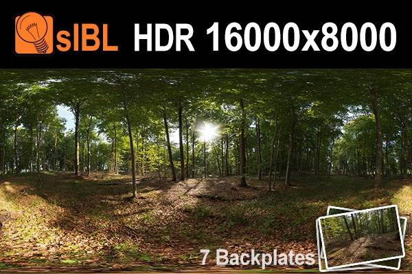 HDR 139 Forest Plates