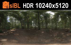 HDR 116 Forest