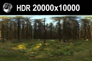 HDR 162 Forest 20k