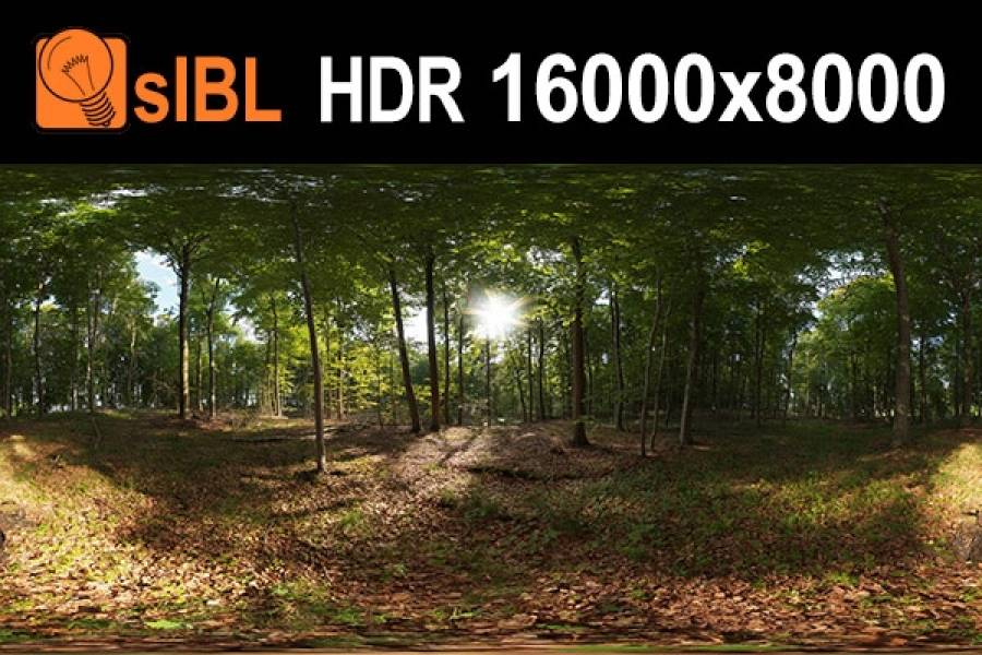 HDRI Hub HDR 139 Forest