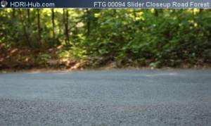 Slider Closeup on Road in Forest