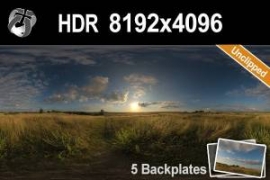 HDR 163 Dusk Cloudy Sky Plates - Hdr environment with a cloudy sky including 5 backplate images. 